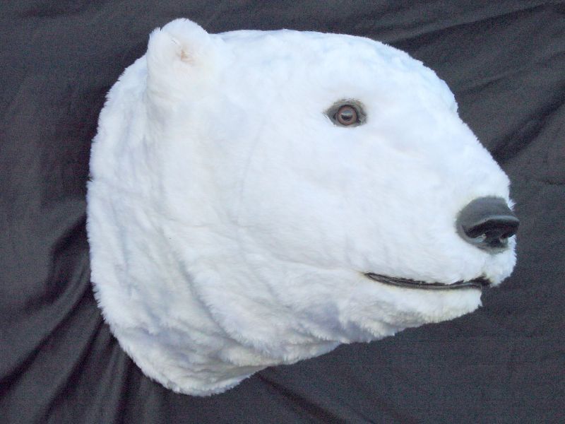 LIFE SIZE FAKE Polar Bear Head Wall Mount Teeth  