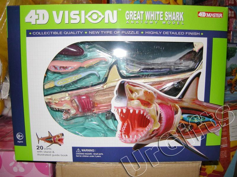 4D Vision Puzzle Animal Anatomy Series 3D Model Shark  